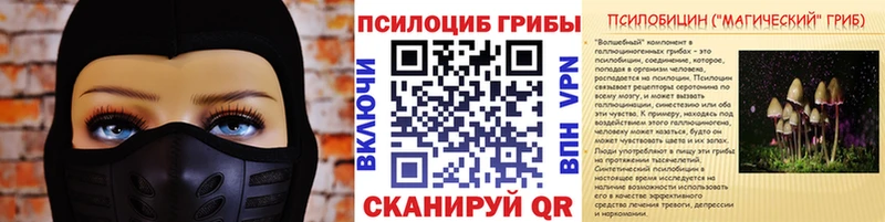 Галлюциногенные грибы MAGIC MUSHROOMS  дарнет шоп  Советск 